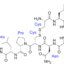 Oxytocin