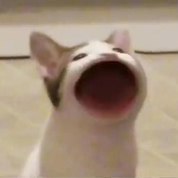 nouz3n