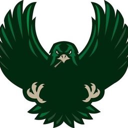 The Green Hawk