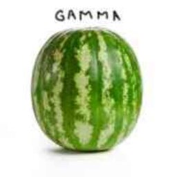 gammapon