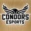 Conestoga Condors Academy