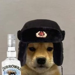 thelargestpolishcrusher