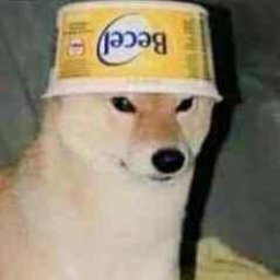 JimXgr