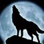 Wolf_Play
