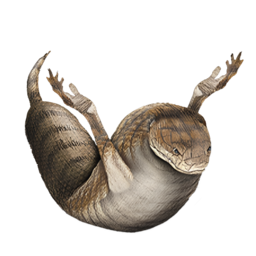xtitanxd