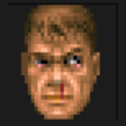 xebbo