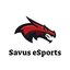 Savus eSports (was deleted at: 2019-12-20T13:39:30.3319936Z)