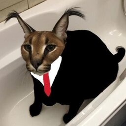 premiummapo