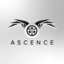 Ascence Amber