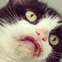 tuuriboy_!420BlazeMontage!