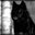 -LoneWolf