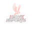 Hawk Esports