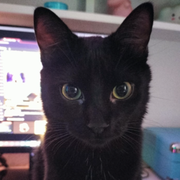 liljuls