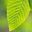 Ecology