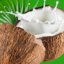 Eaters of coconuts