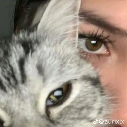 huh?DEKRATE