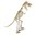ScarySpookySkeletons (was deleted at: 2020-03-17T18:24:31.9697036Z)