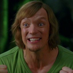 ATNA | Shaggy
