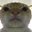Flinke poes