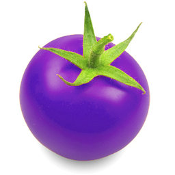 Mjilos