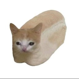 carloseduardomaier2525