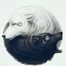 WhiteWolf8799