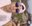 Joao Vitor Lopes0
