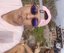 Joao Vitor Lopes0