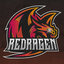 ReDraGeN team 55