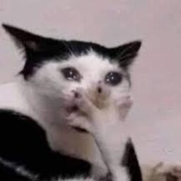 SCRÉAMBRÛLÉE#8534