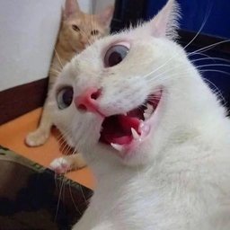 FFFFFFFFFFFFFFF