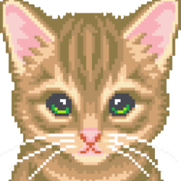 kopycatt