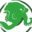 Octopus Evergreen