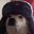 DOGELP7