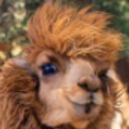 Pushyno