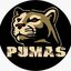 T1 Puma