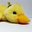 PikaMaster99