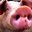 Pork n Pork