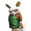 Master Shifu ?