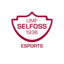 Selfoss.eSports