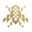 Capitata