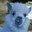 Blue Lamas