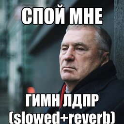 seneeeor