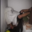 Koti_