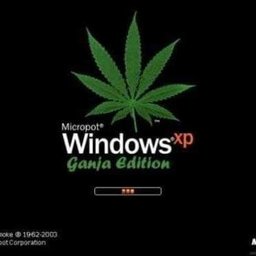 n word n word n word n word n word