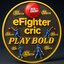 eFighterCric