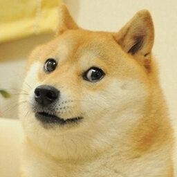forgorchamp