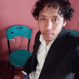 Javier Petro Pérez