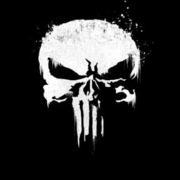 Punisher025