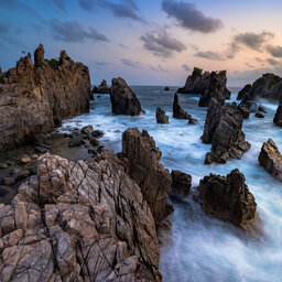 Pedrin no tadala#fila